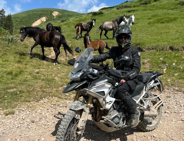 Riding off-road in Montenegro during the ADV Summit on the Tiger 1200 Rally Pro surrounded by wild horses